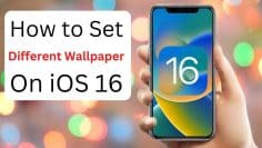 How to Set Different Wallpaper on iOS 16 | Put Different Wallpaper on Each Screen iPhone iOS 16